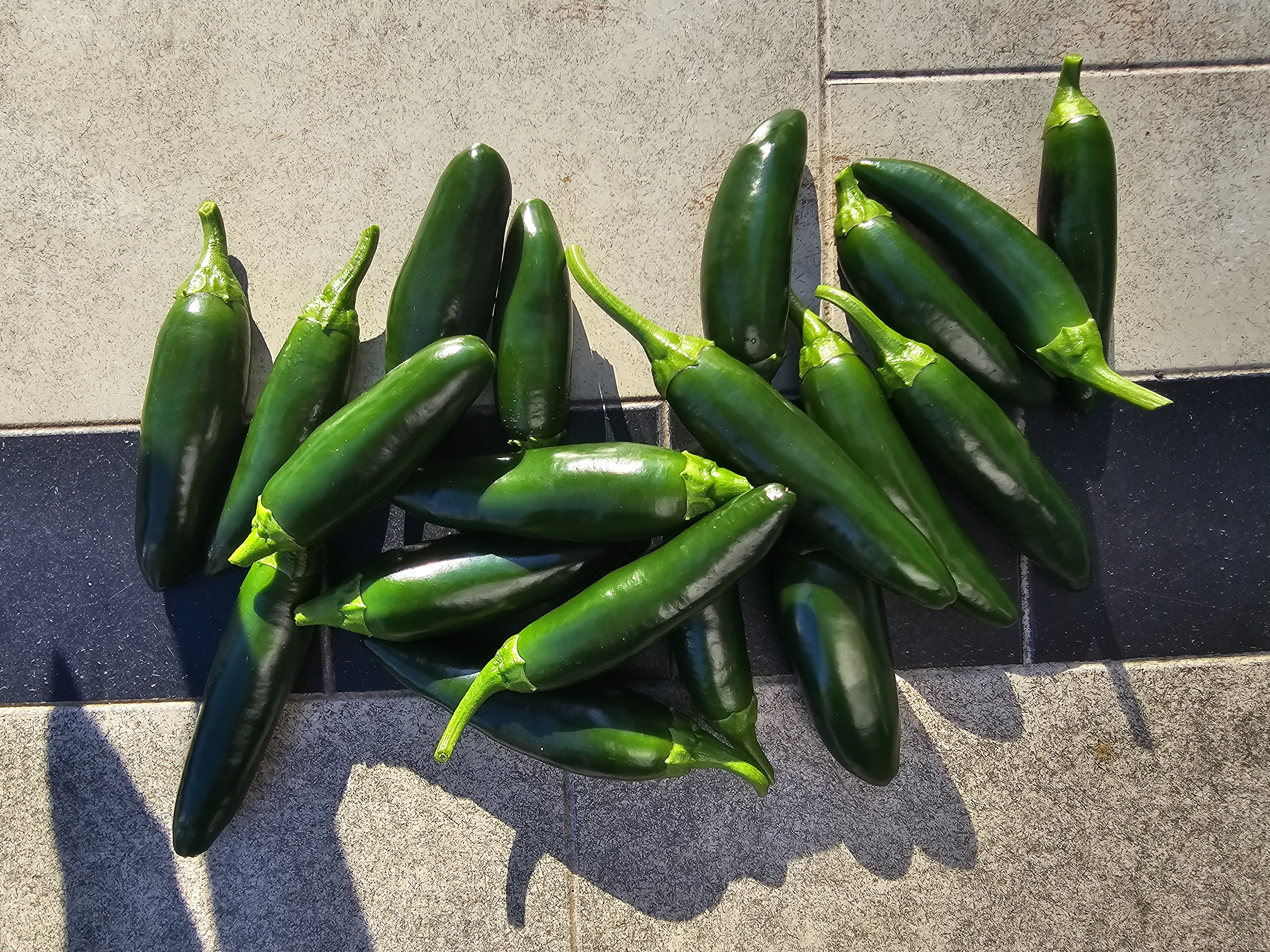 Jalapeño background